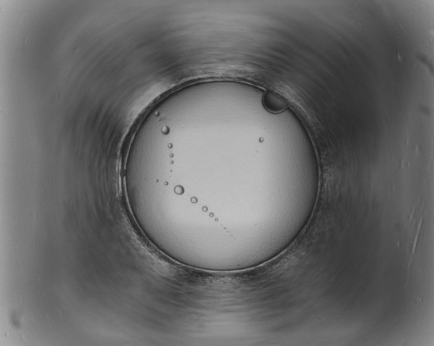 X0000101671079200807241435