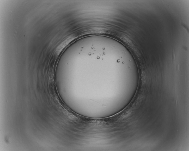 X0000101671081200807241435