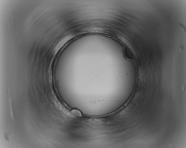 X0000101671082200807241435