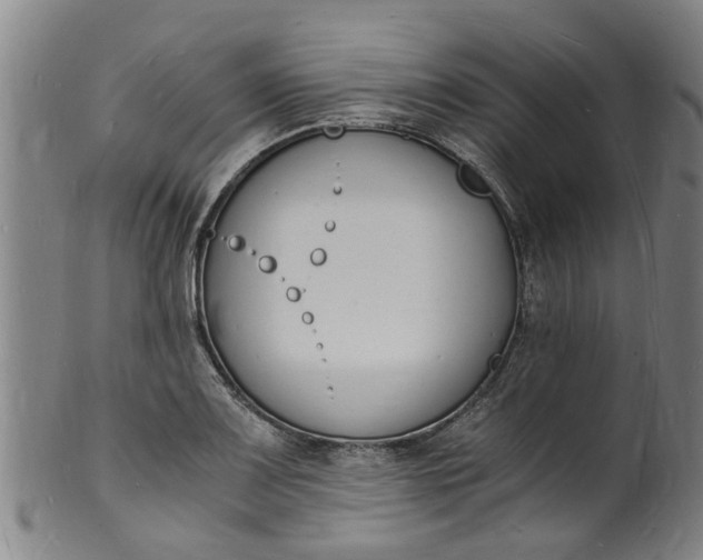 X0000101671083200807241435