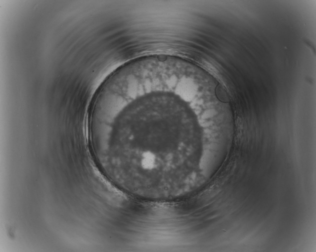 X0000101671084200807241435