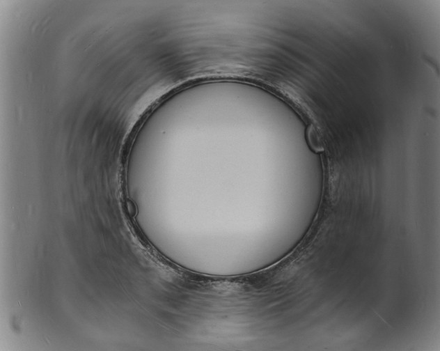 X0000101671085200807241434