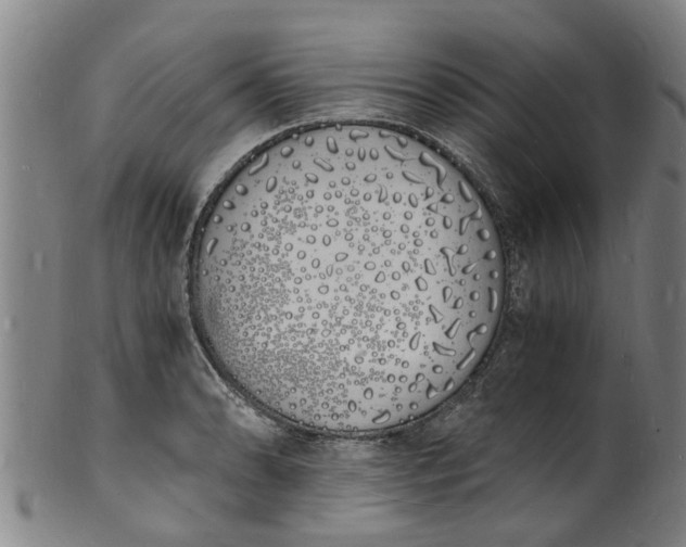 X0000101671086200807241434