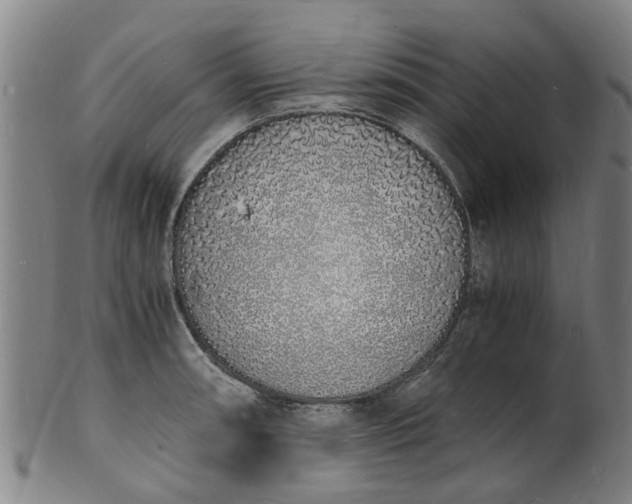 X0000101671090200807241434
