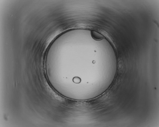 X0000101671091200807241434