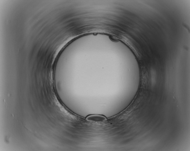 X0000101671092200807241434
