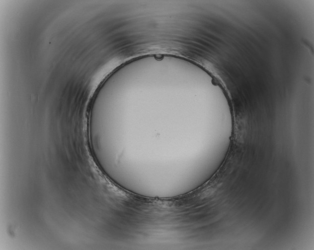 X0000101671096200807241434