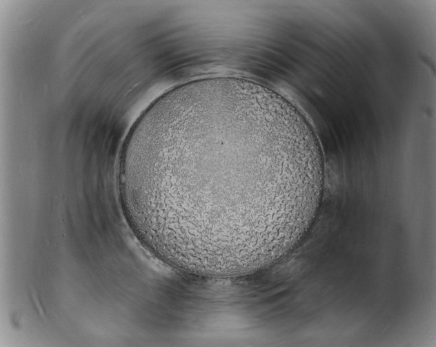 X0000101671098200807241434