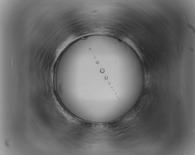 X0000101671099200807241434