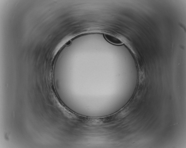 X0000101671101200807241434