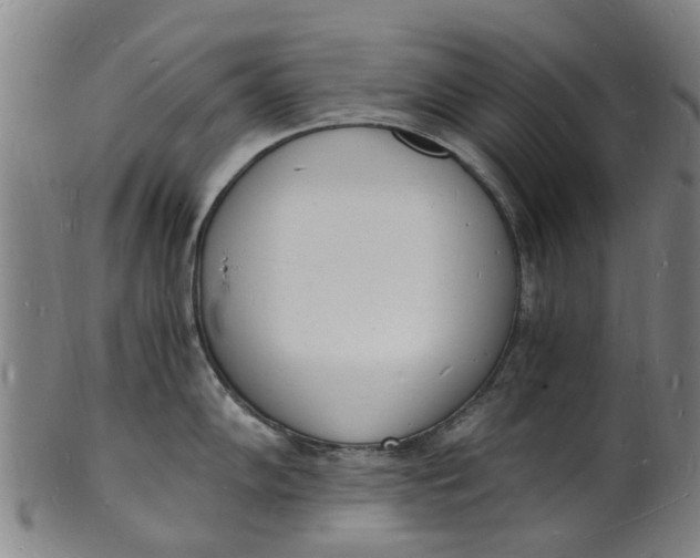 X0000101671102200807241434