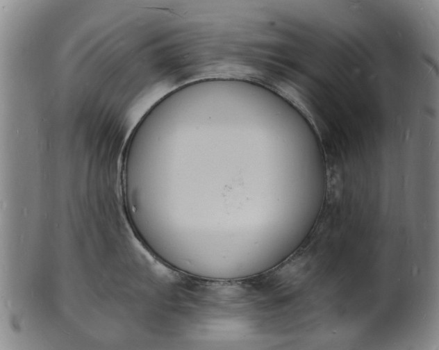 X0000101671103200807241434