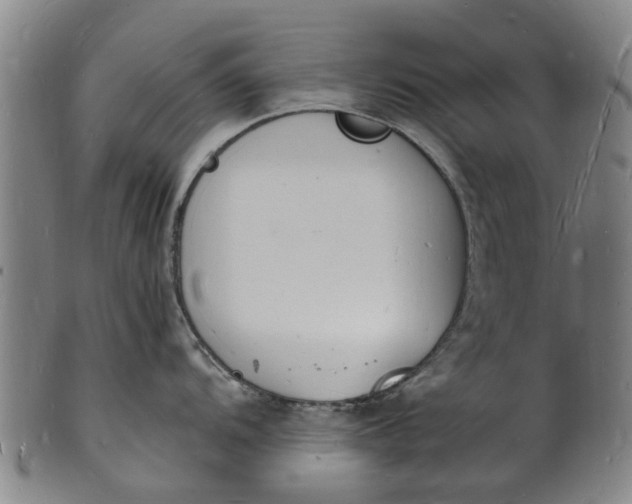 X0000101671104200807241434