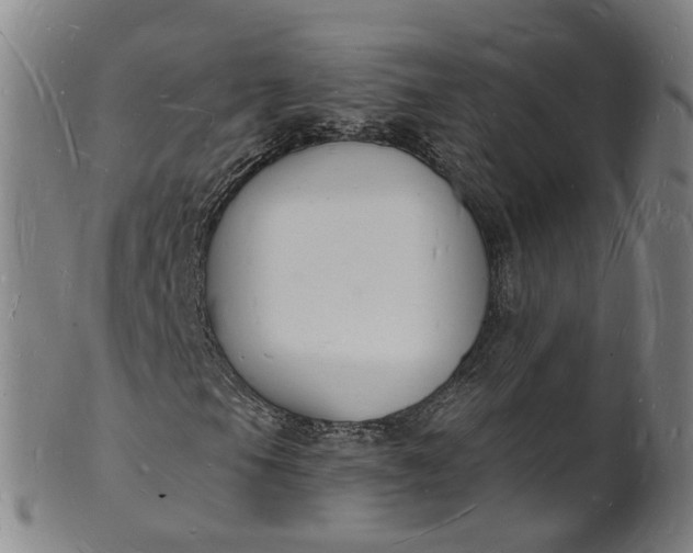 X0000101671105200807241434