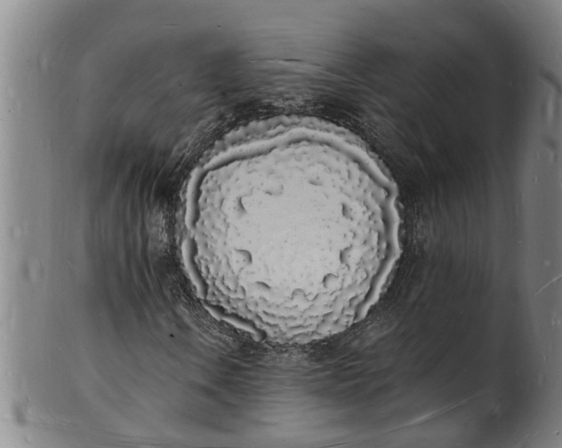 X0000101671106200807241434