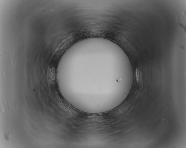 X0000101671107200807241434