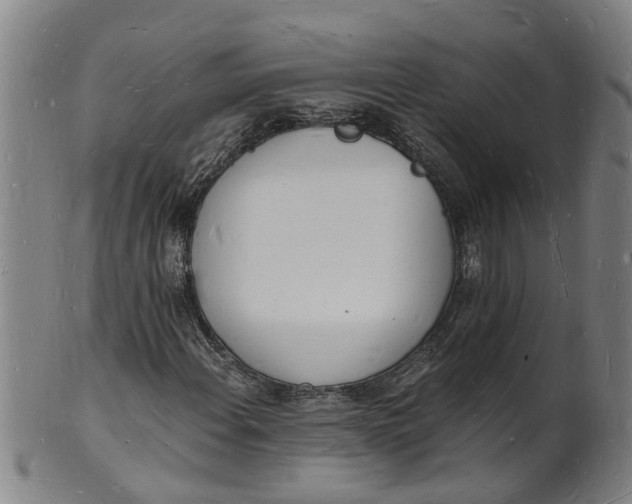 X0000101671108200807241434
