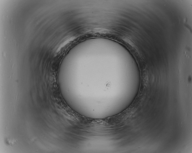 X0000101671112200807241434