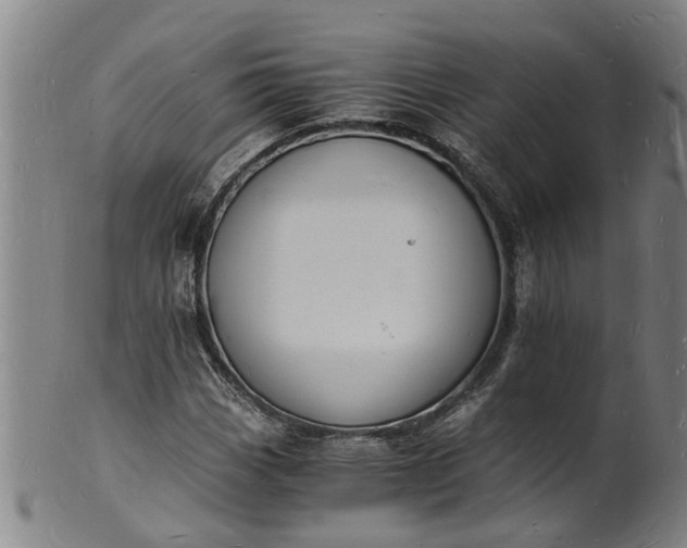 X0000101671113200807241434
