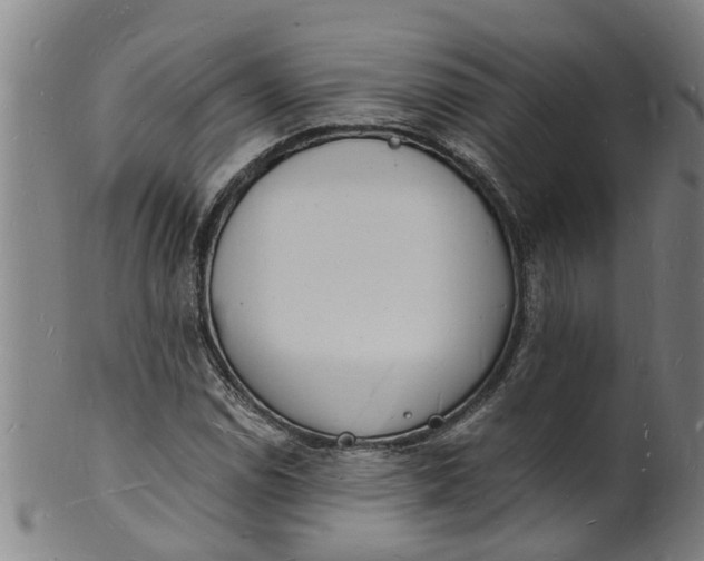 X0000101671114200807241434