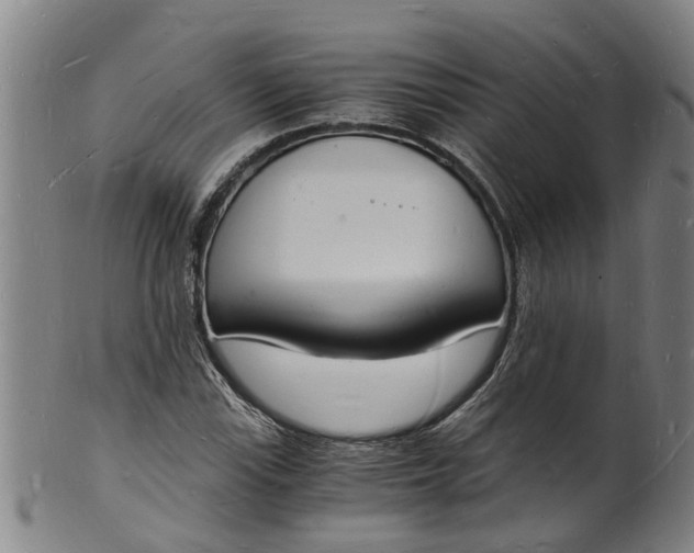 X0000101671115200807241434