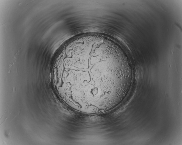 X0000101671117200807241434