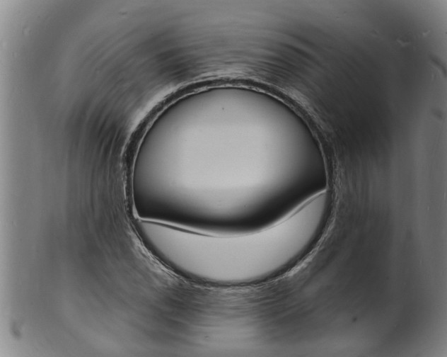 X0000101671118200807241434