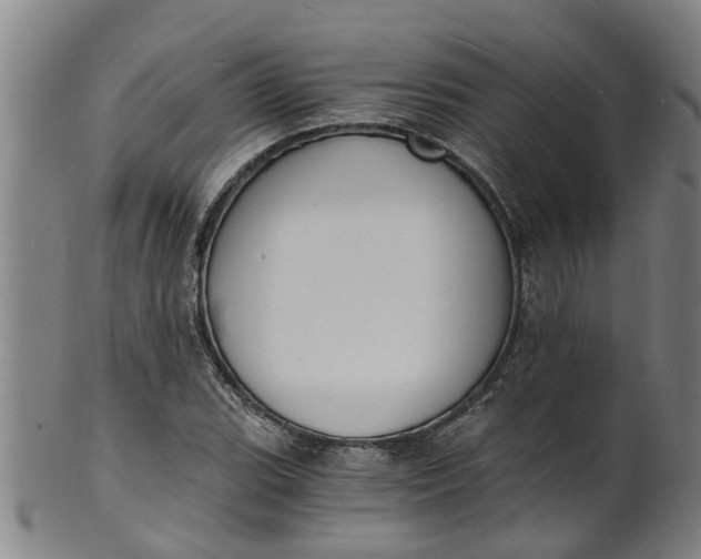 X0000101671119200807241434