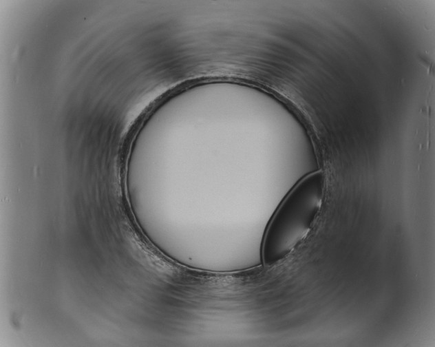 X0000101671120200807241434