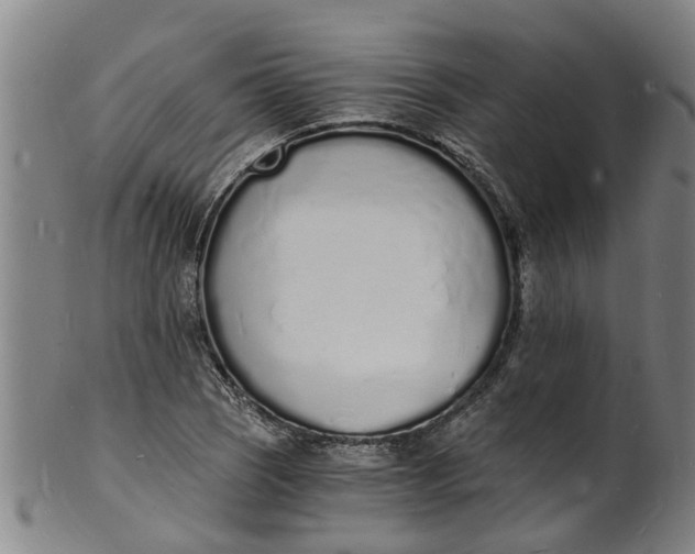 X0000101671121200807241434