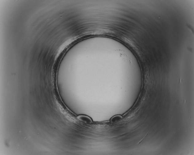 X0000101671122200807241434