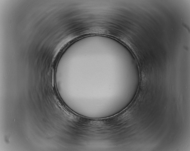 X0000101671123200807241434