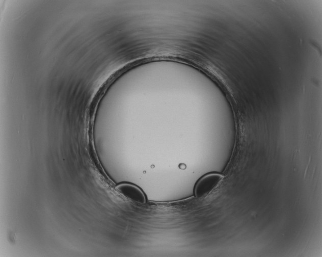 X0000101671124200807241434