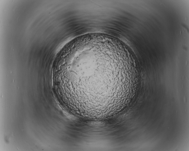 X0000101671127200807241434