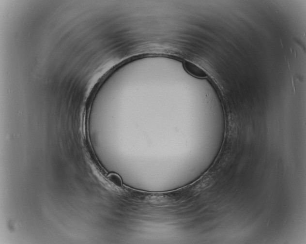 X0000101671128200807241434