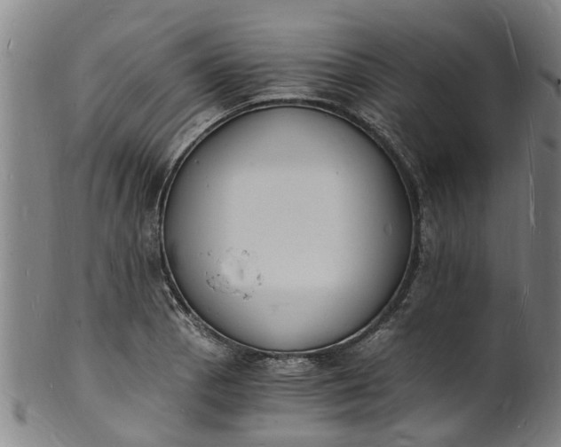 X0000101671129200807241434