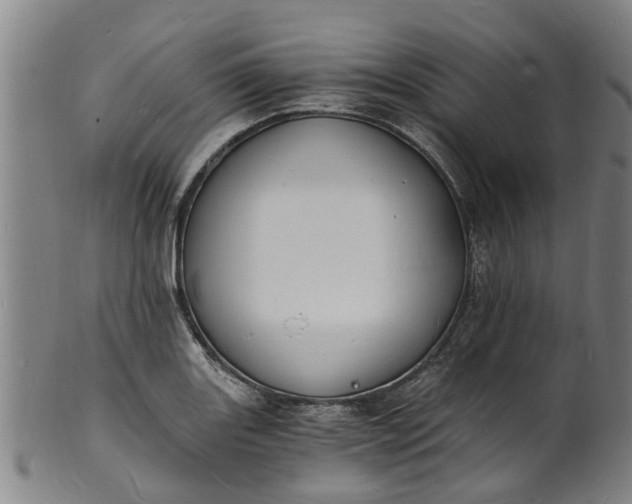 X0000101671131200807241434