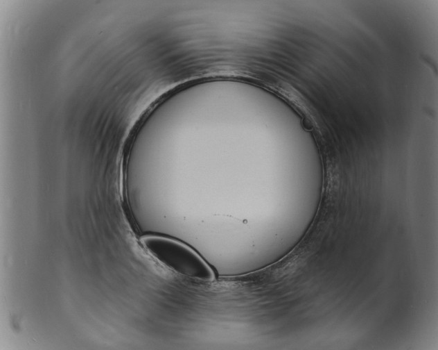 X0000101671132200807241434