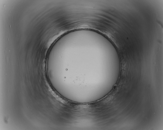 X0000101671134200807241434
