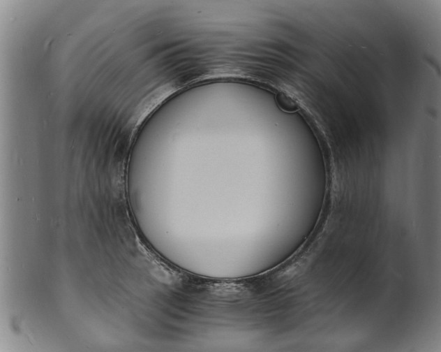 X0000101671137200807241434