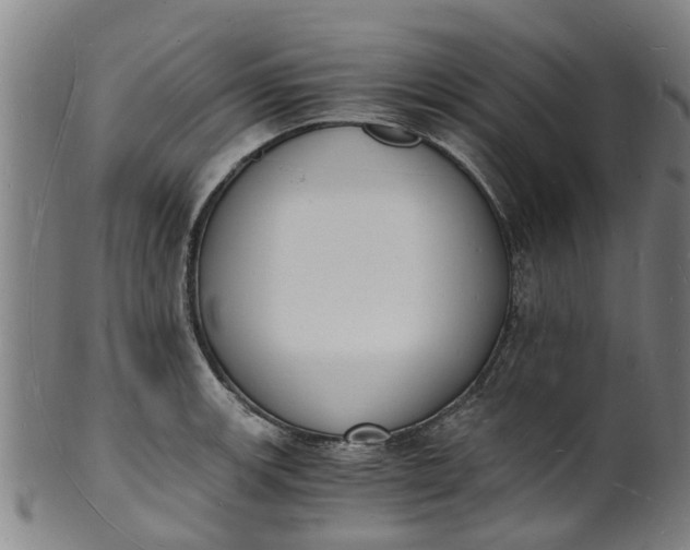 X0000101671139200807241434