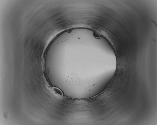 X0000101671140200807241434