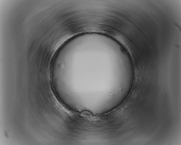 X0000101671141200807241434