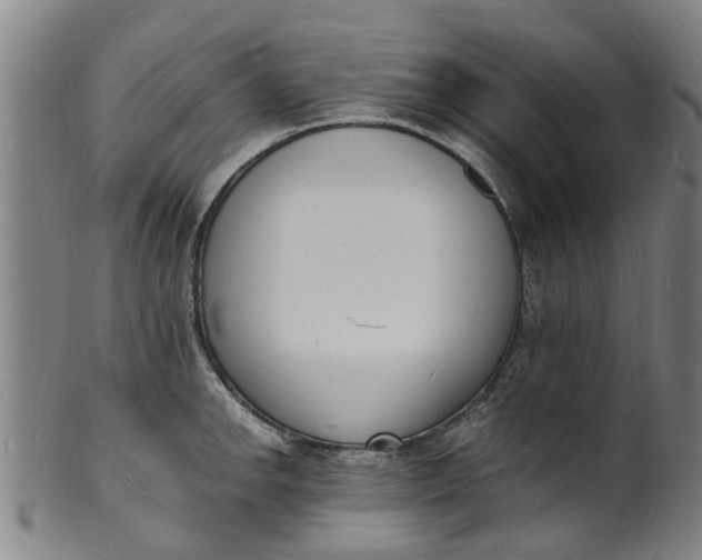 X0000101671142200807241434