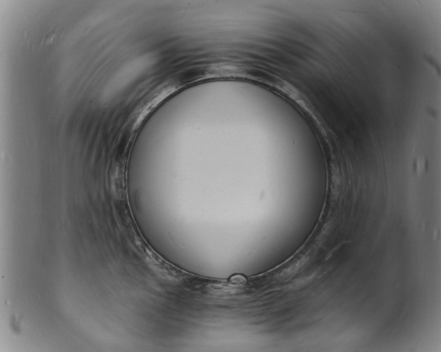 X0000101671145200807241434