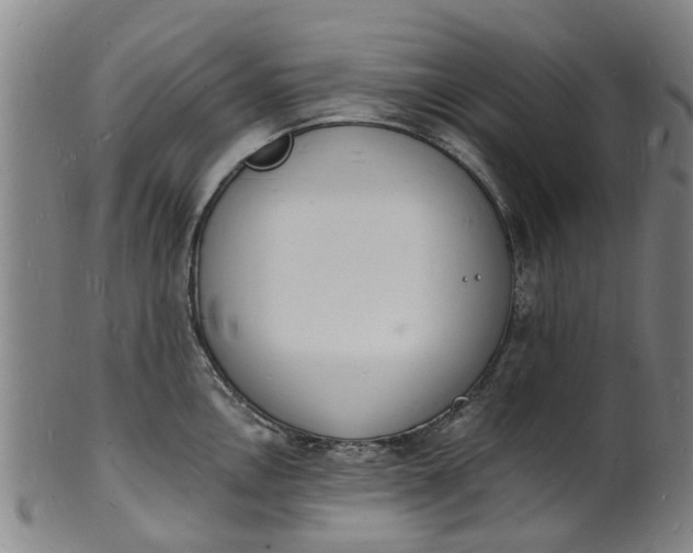 X0000101671146200807241434