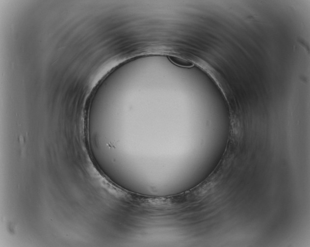 X0000101671147200807241434