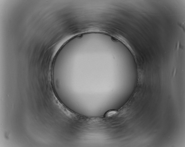 X0000101671148200807241434