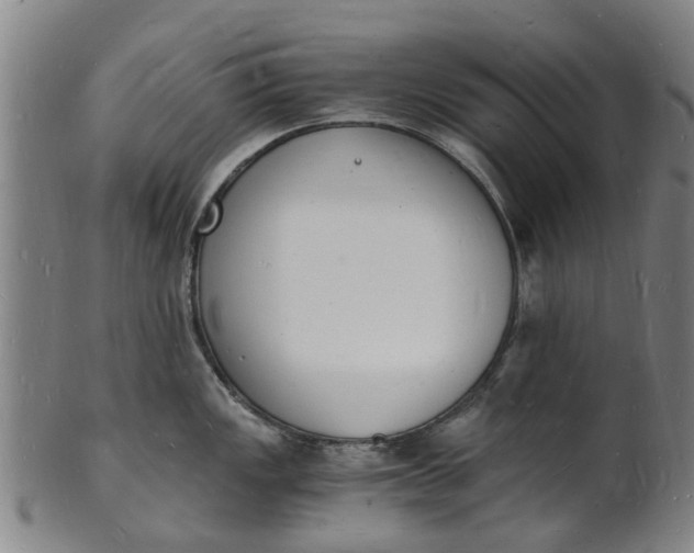 X0000101671149200807241434