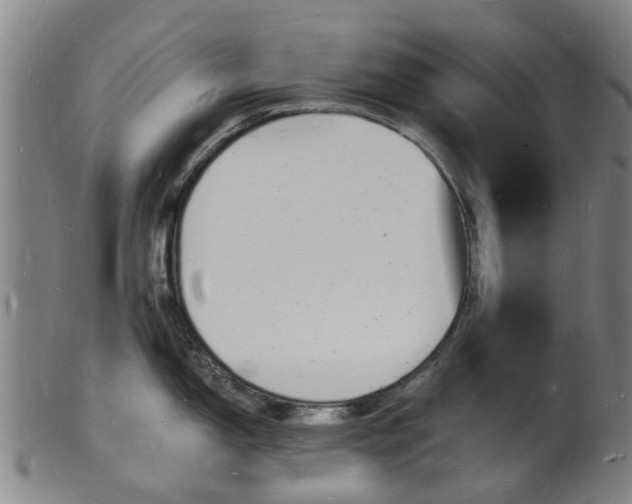X0000101671150200807241434